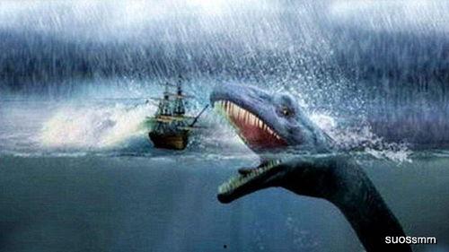 尼斯湖水怪视频,高清视频揭秘神秘生物之谜