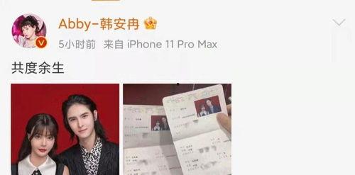 韩安冉骂纯白视频,网络暴力再引关注