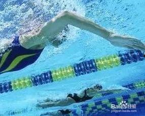 游泳怎么踩水视频,视频详解，轻松掌握水中平衡术