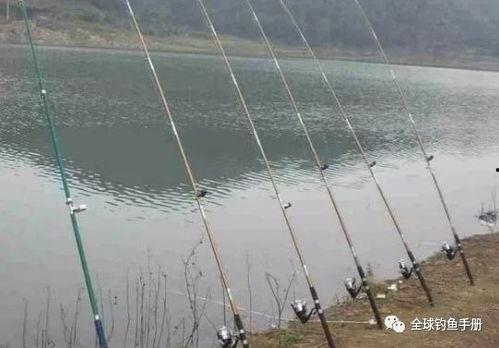 串钩钓鱼技巧视频