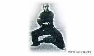 开合劲视频,传统武术精髓与现代健身融合的奥秘揭秘