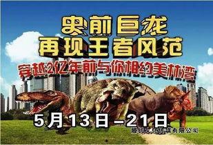 活恐龙视频,穿越时空的震撼瞬间