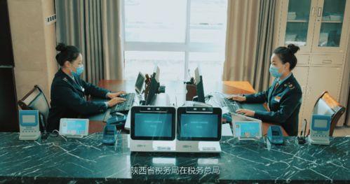 税务局视频,揭秘税收政策与征管流程