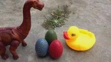 恐龙蛋玩具视频播放,揭秘古生物奥秘的趣味之旅