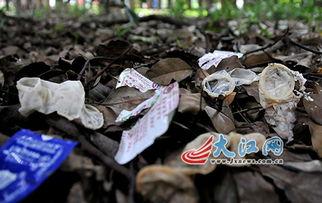 小树林性视频,一场隐秘的欲望狂欢